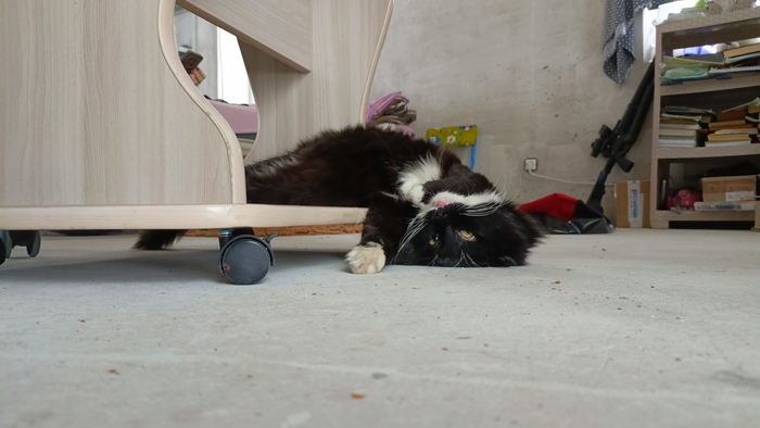    &quot;,   ,   &quot;