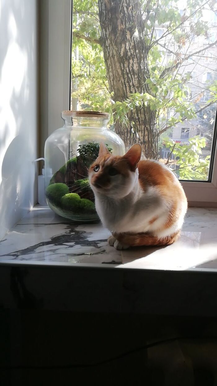  user10988642  &quot;,   ,   &quot;