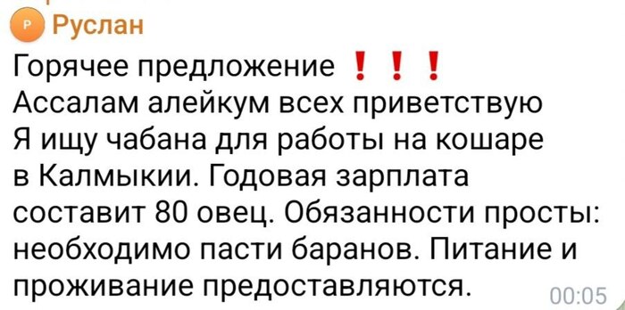 ��� ��� �� ����� ������ �� �����������