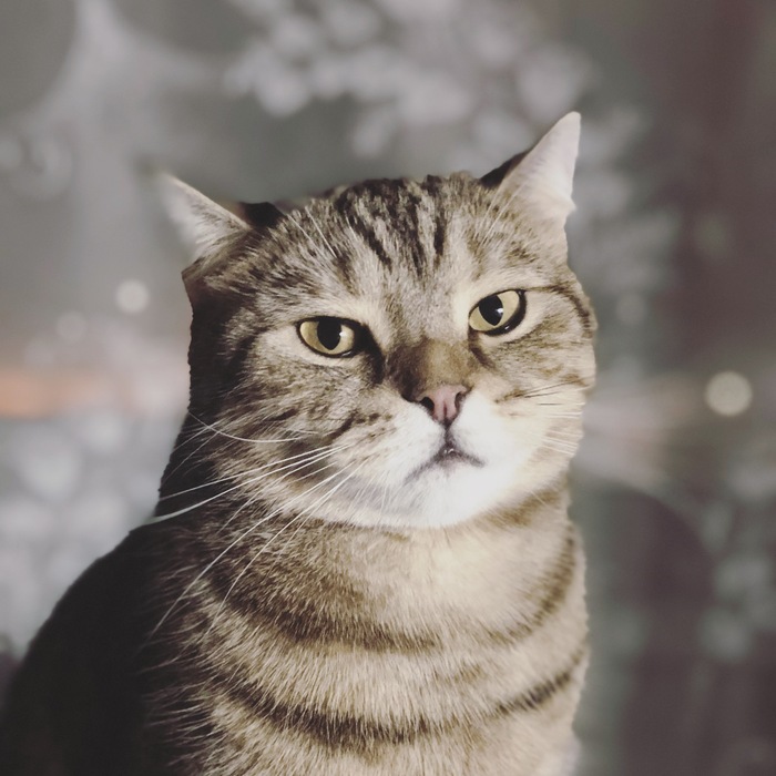 ���� ������,������� � ������