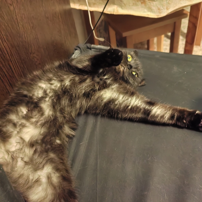    &quot;,   ,   &quot;