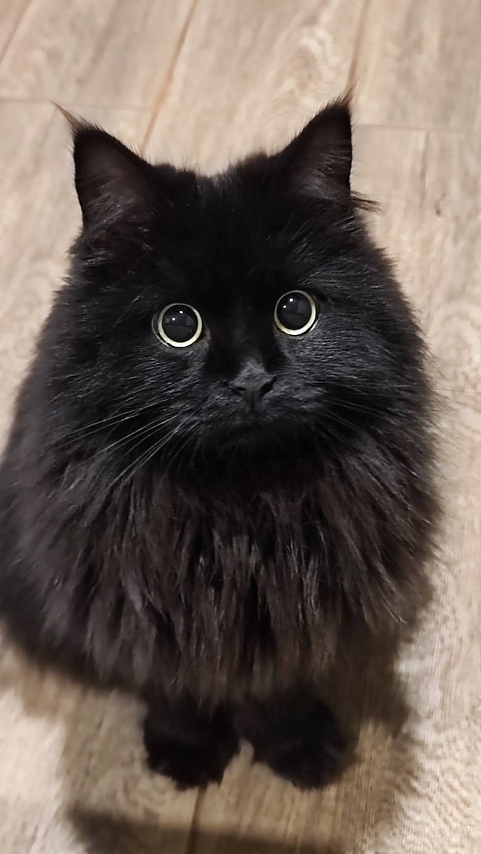    &quot;,   ,   &quot;