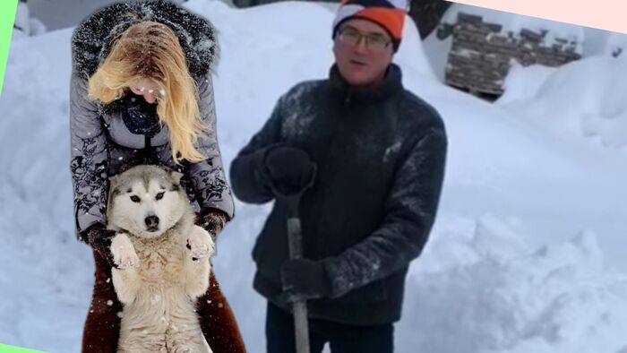 11   (43 .)    .    -   .     -  ,      