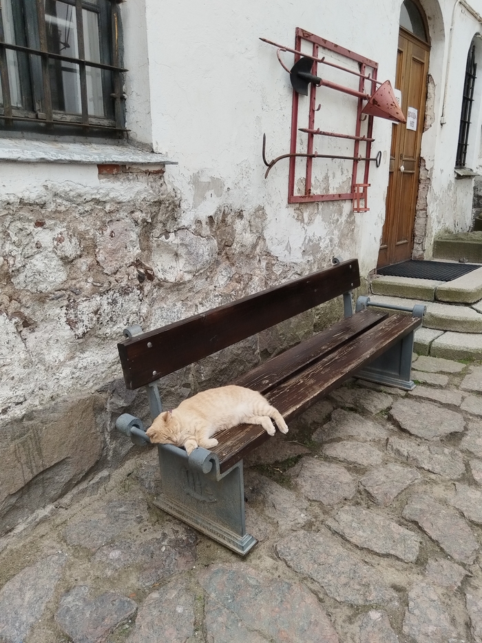   .          ,    ,    &#x1F446;&#x1F914;