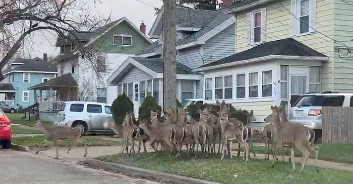 Это точно туристы?