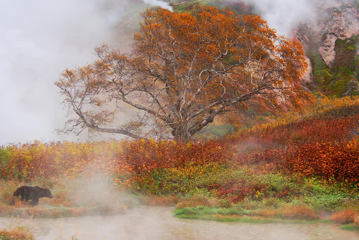     , .    <!--noindex--><a href="https://pikabu.ru/story/beryoza_v_doline_geyzerov_13464945?u=http%3A%2F%2Fklau.club&t=klau.club&h=52952dd318131818e367e30dff1e421fdf0b511a" title="http://klau.club" target="_blank" rel="nofollow noopener">klau.club</a><!--/noindex-->