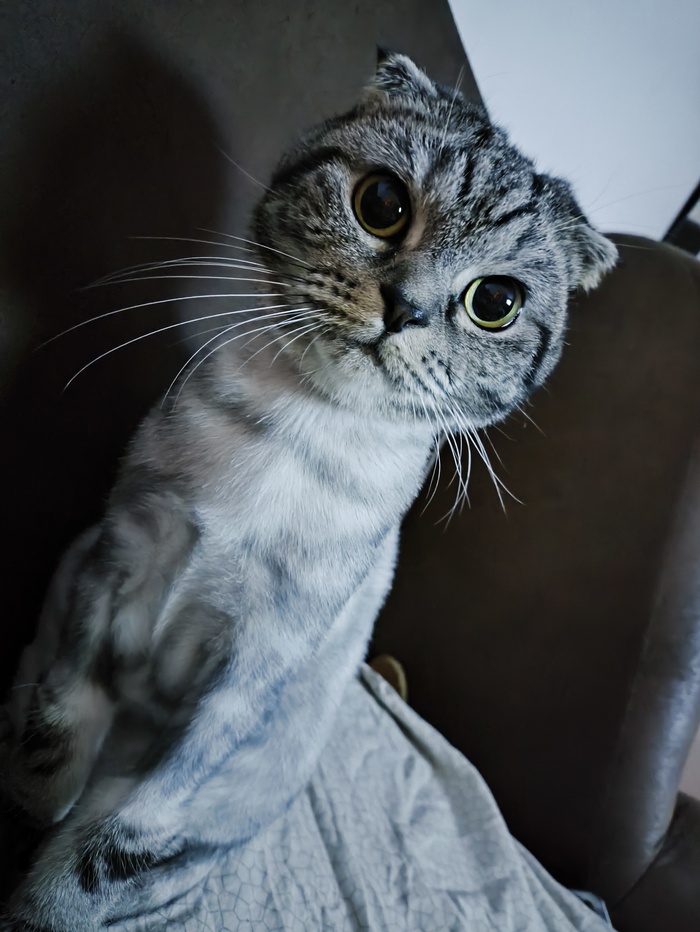    &quot;,   ,   &quot;