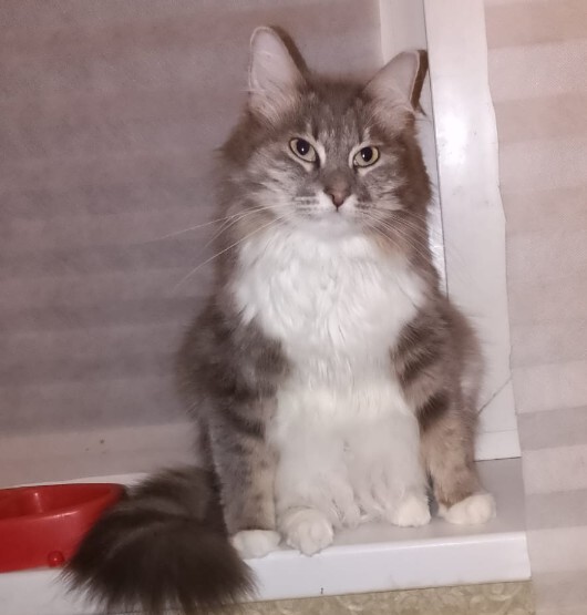  user9868574  &quot;,   ,   &quot;