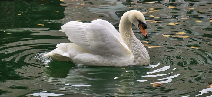   ! ,          -       )