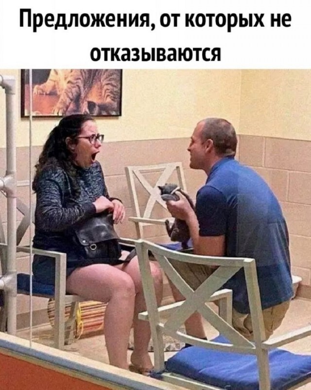 ��� ����