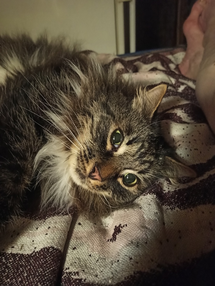 На заслуженном отдыхе.