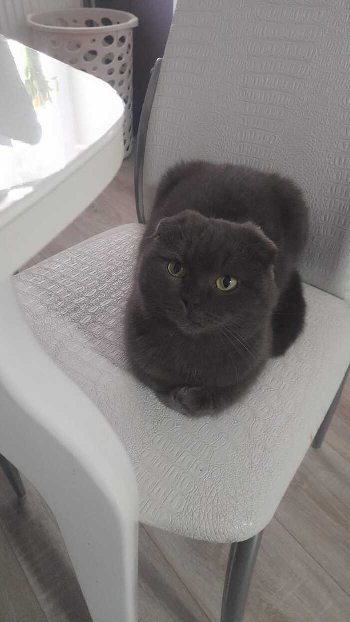 В ожидании обеда