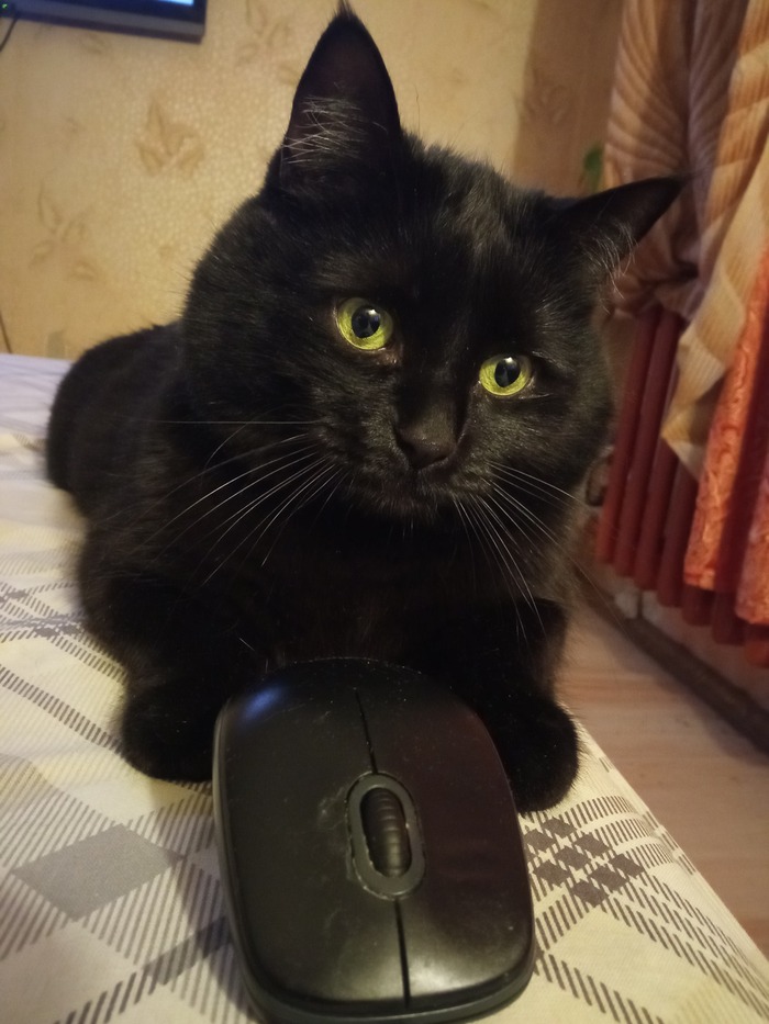 Подтверждаем с Мартином)