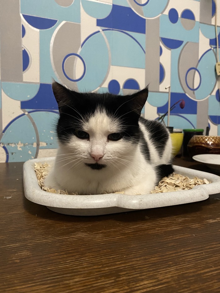 Ненуачо, на семечках тыквы вполне себе чилл:)