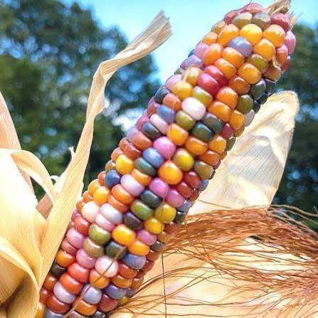 photo hy natalia on pinterest