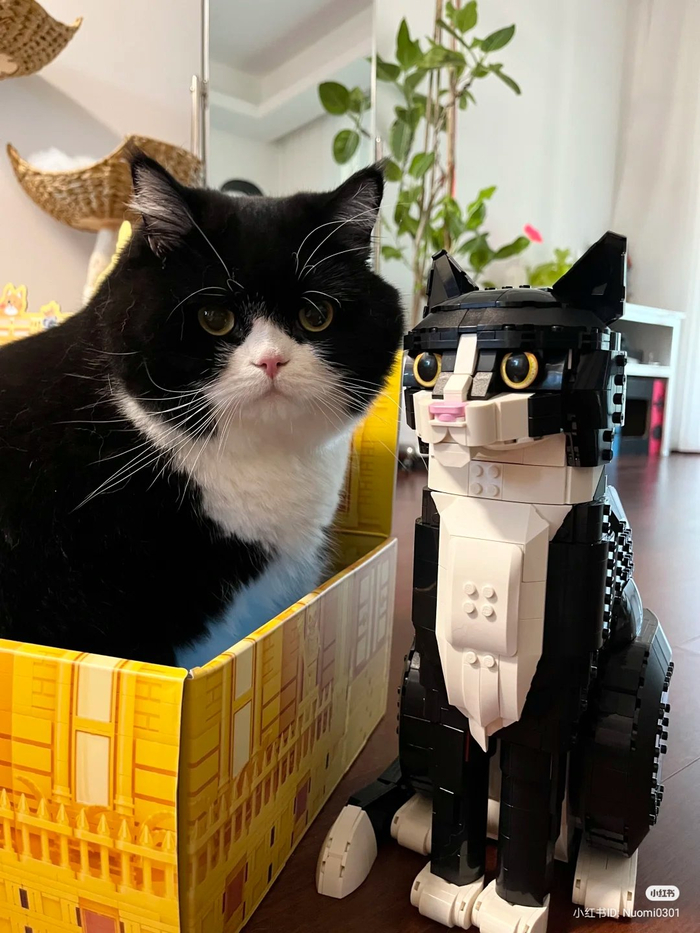 Наташа, это что такое?