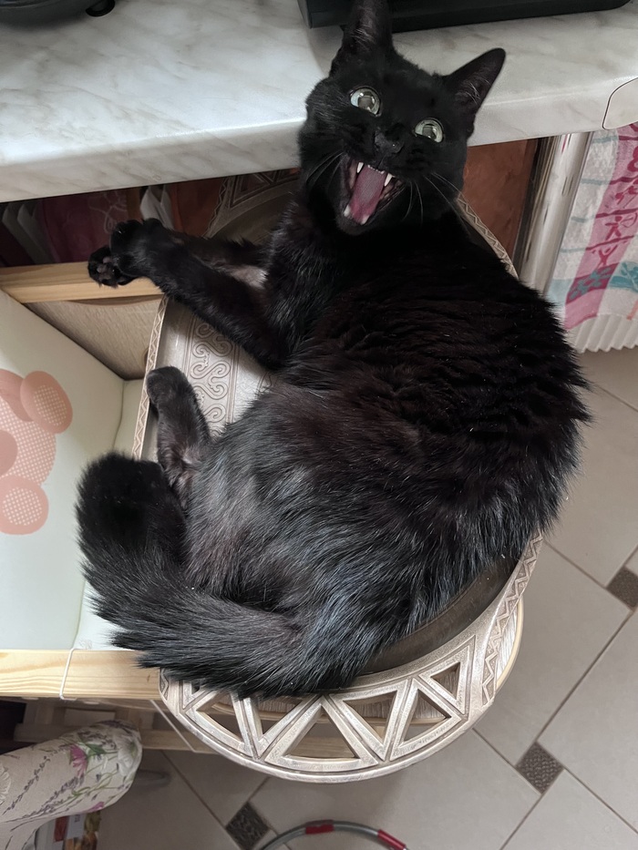    &quot;,   ,   &quot;