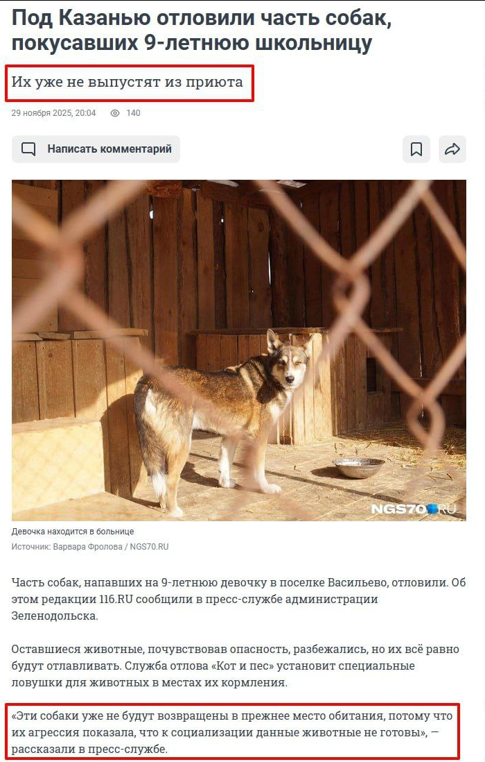 <!--noindex--><a href="https://pikabu.ru/story/prodolzhenie_posta_napadeniya_sobak_v_zelenodolskom_rayone_tatarstana_13451065?u=https%3A%2F%2F116.ru%2Ftext%2Fincidents%2F2025%2F11%2F29%2F76147487%2F&t=https%3A%2F%2F116.ru%2Ftext%2Fincidents%2F2025%2F11%2F29%2F76147487%2F&h=111f84c68a331c43cadac0c9a66e37eb8b0328aa" title="https://116.ru/text/incidents/2025/11/29/76147487/" target="_blank" rel="nofollow noopener">https://116.ru/text/incidents/2025/11/29/76147487/</a><!--/noindex-->