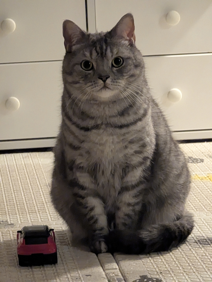  ABOKATO  &quot;,   ,   &quot;