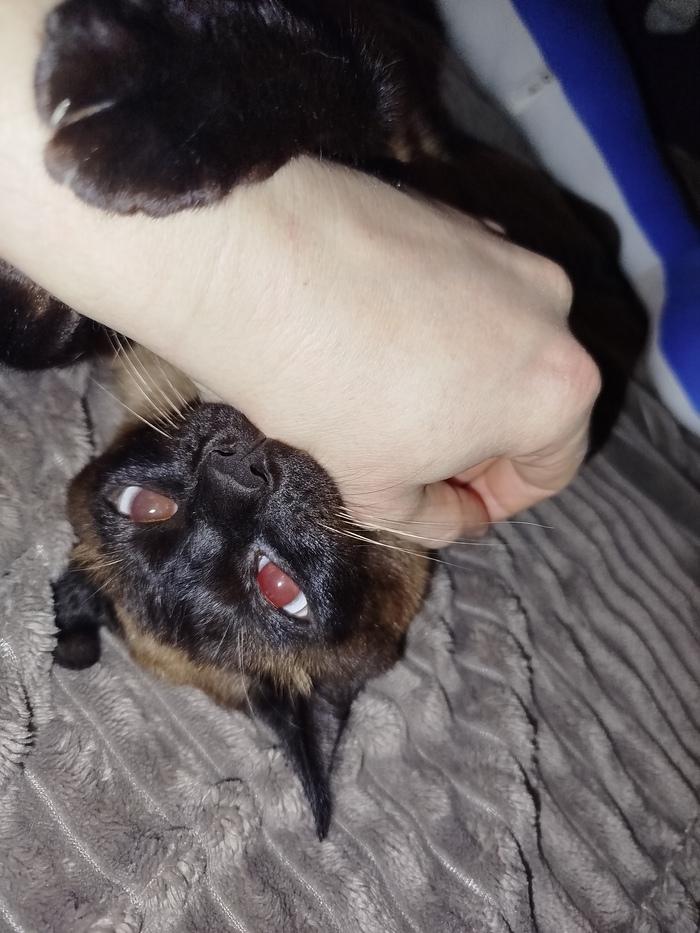 &quot;,   ,   &quot;