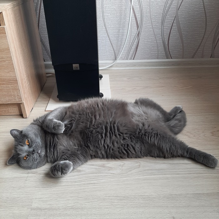    &quot;,   ,   &quot;