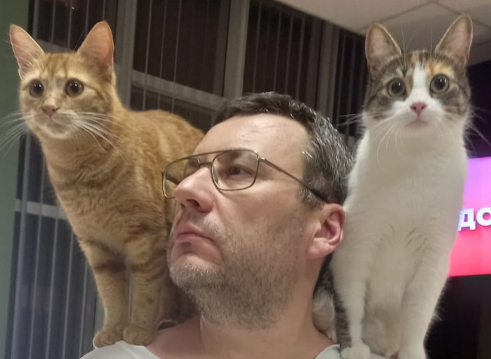    &quot;,   ,   &quot;