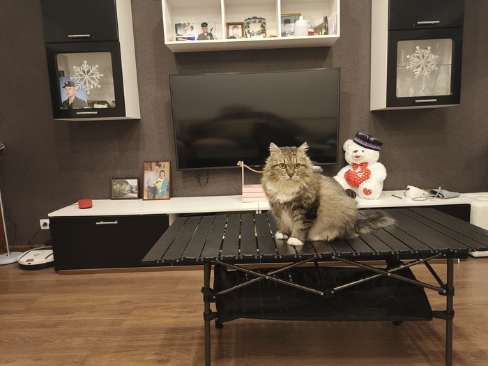 Проведение статичных испытаний