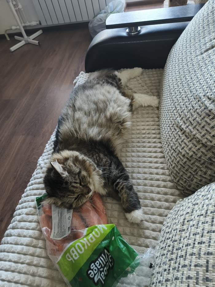 Морковь - наш наркотик