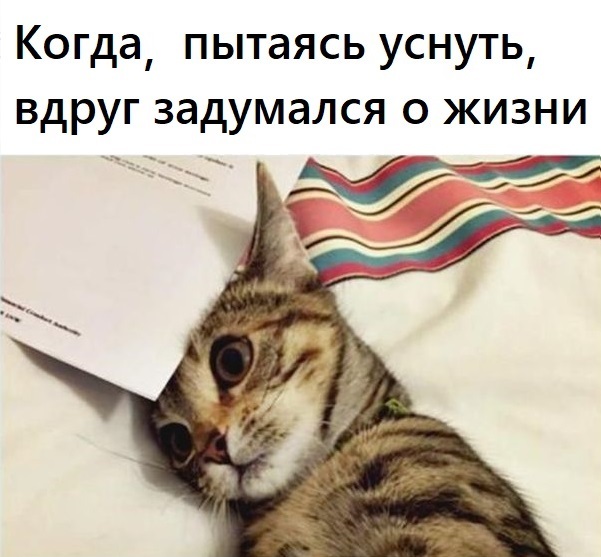 Дальновидность