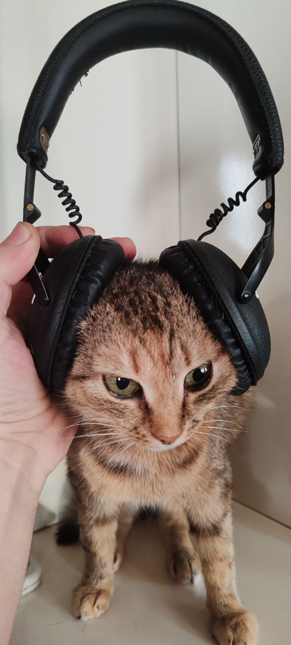    &quot;,   ,   &quot;