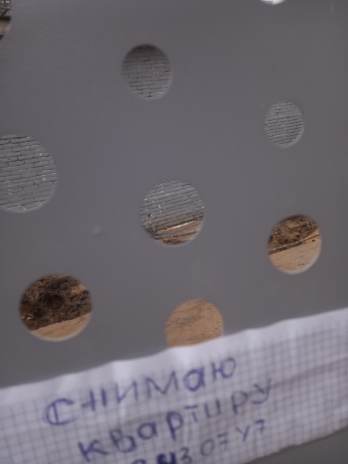 Неомосквичи понтуются