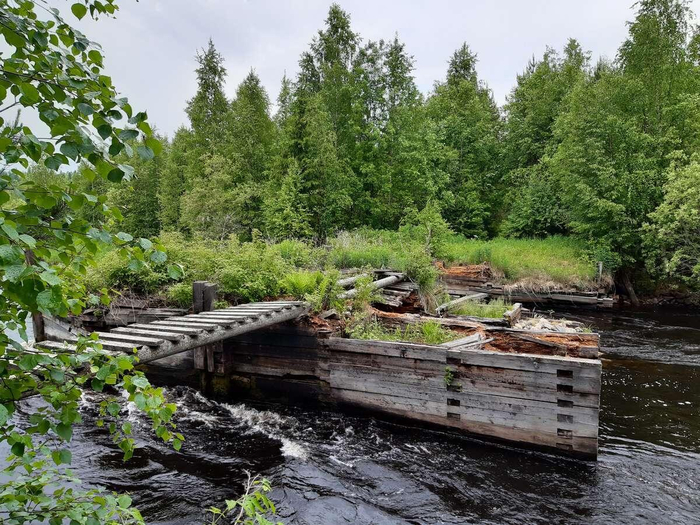 Водлозерский национальный парк (Архангельская область).