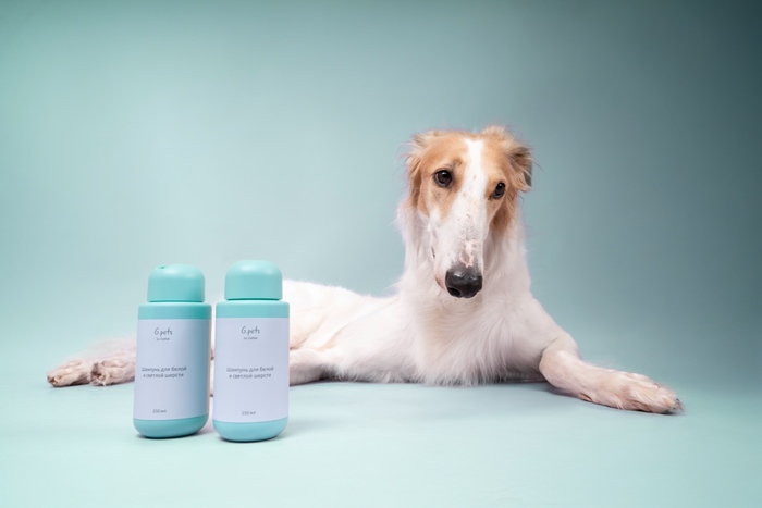 Купава Ясная: «Сами вы подозрительные» 