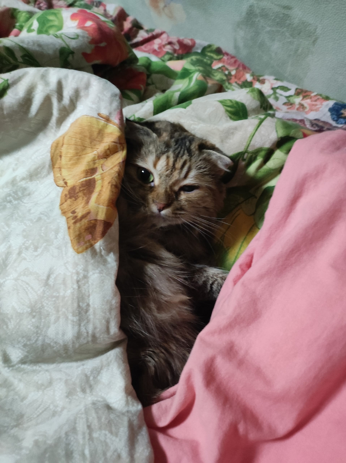 Я сегодня не принимаю...