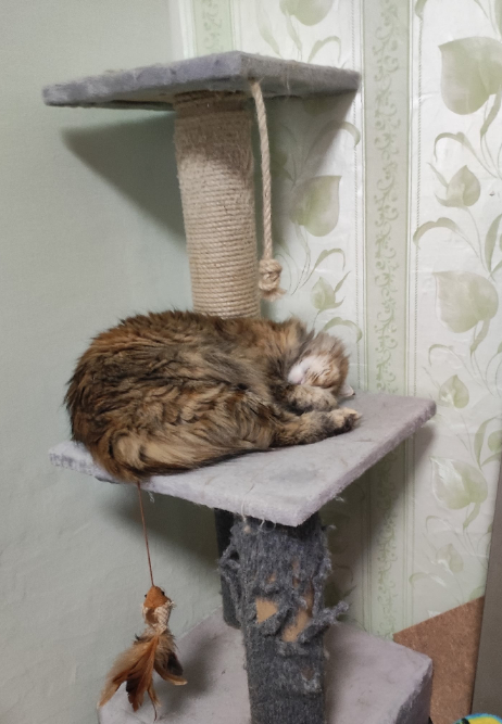 Рыб никуда не денется