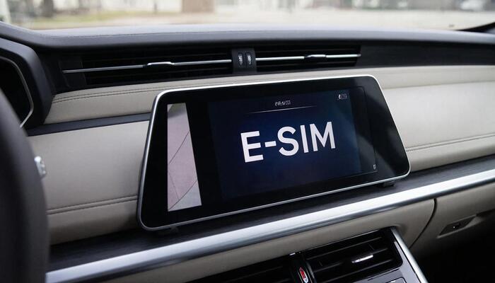      e-sim,       ?