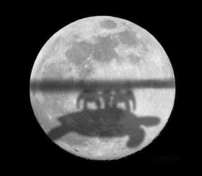 Затмение здорового человека: доказательство теории плоской Земли