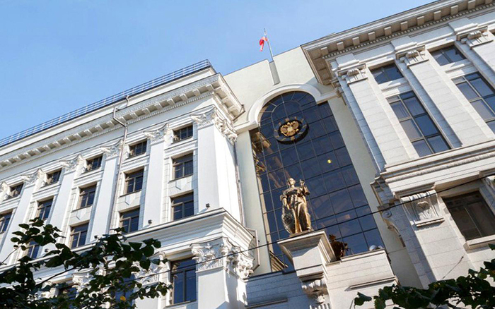 Верховный суд истребовал материалы по делу Долиной