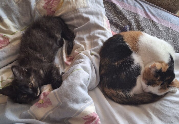  .   - ,   7 .  - ,   ,   .     .     .