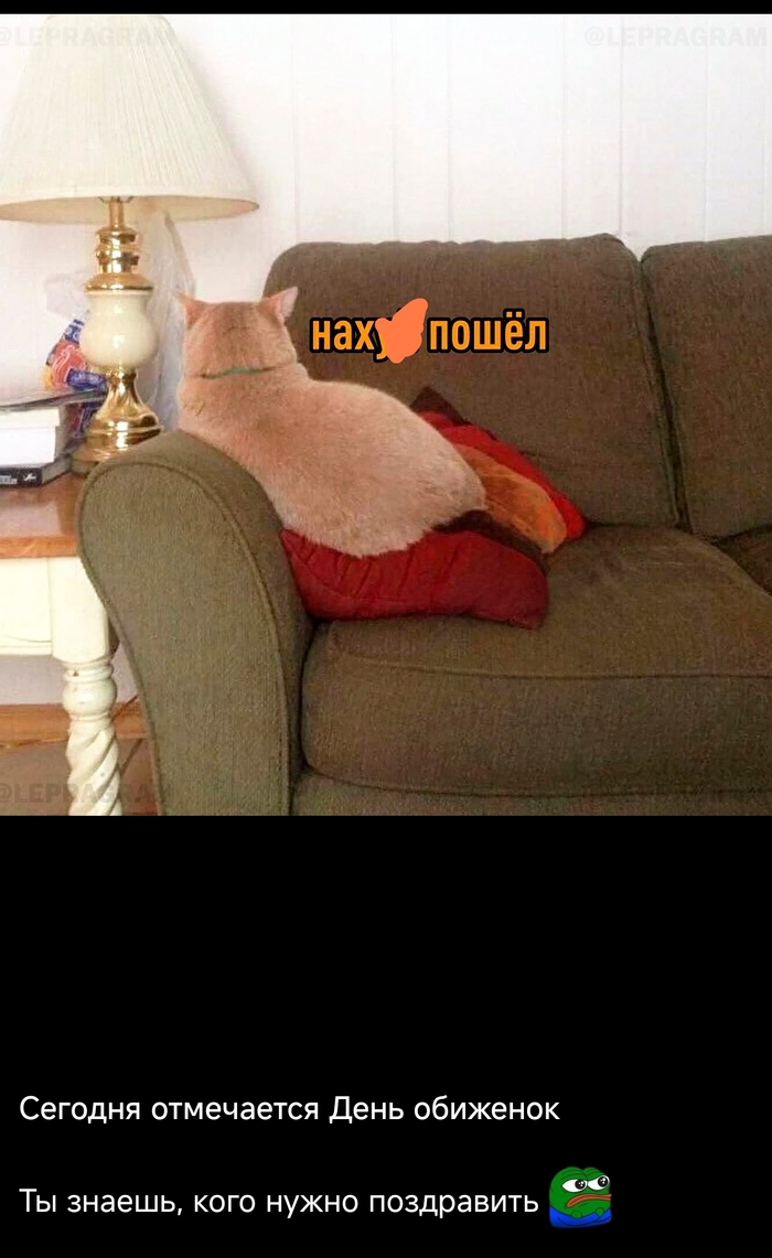 День обиженок