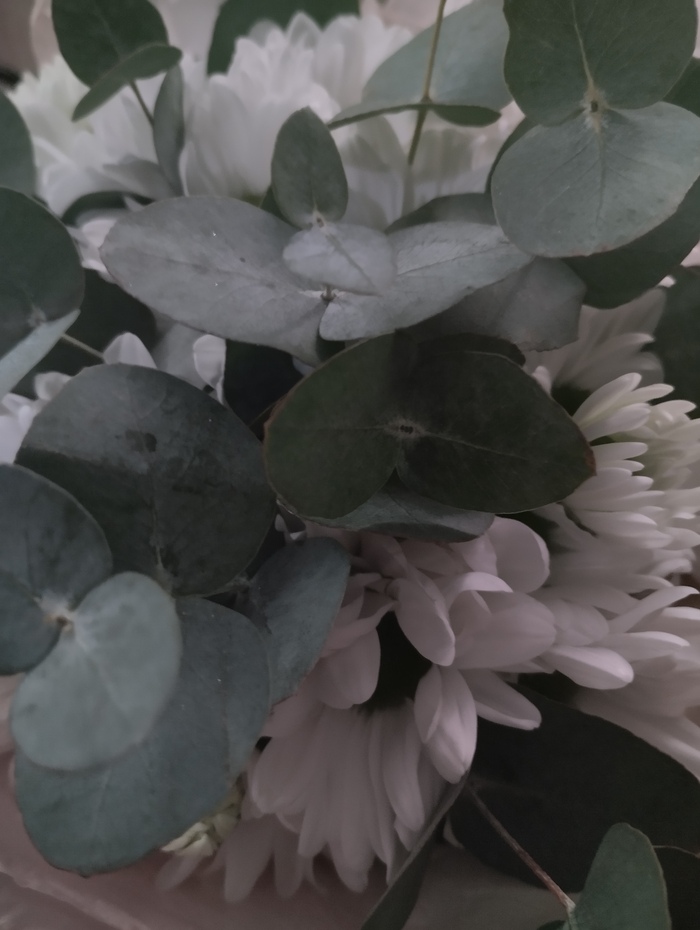    !     &quot;,    &quot;