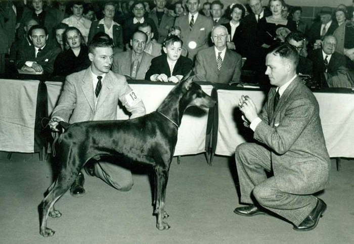  ,  .        .     .     .