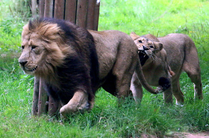 Как в том анекдоте про ящик гвоздей: "Ну что, студент, пожил в свое удовольствие? А теперь – сессия."