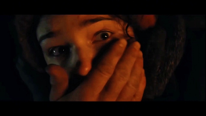   (2025)  ,   ,        .     