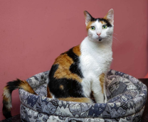 ����� � ������ ����! �����-���������