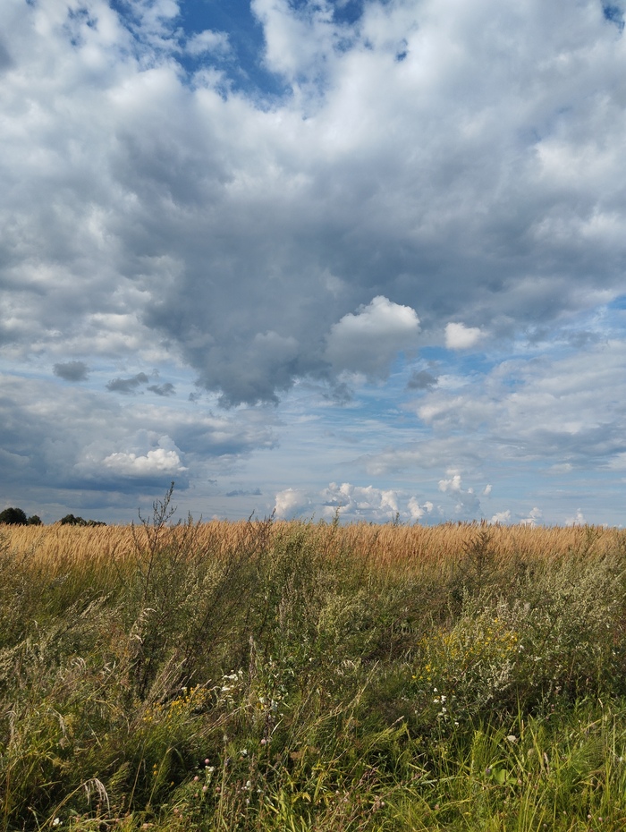 Брянская область