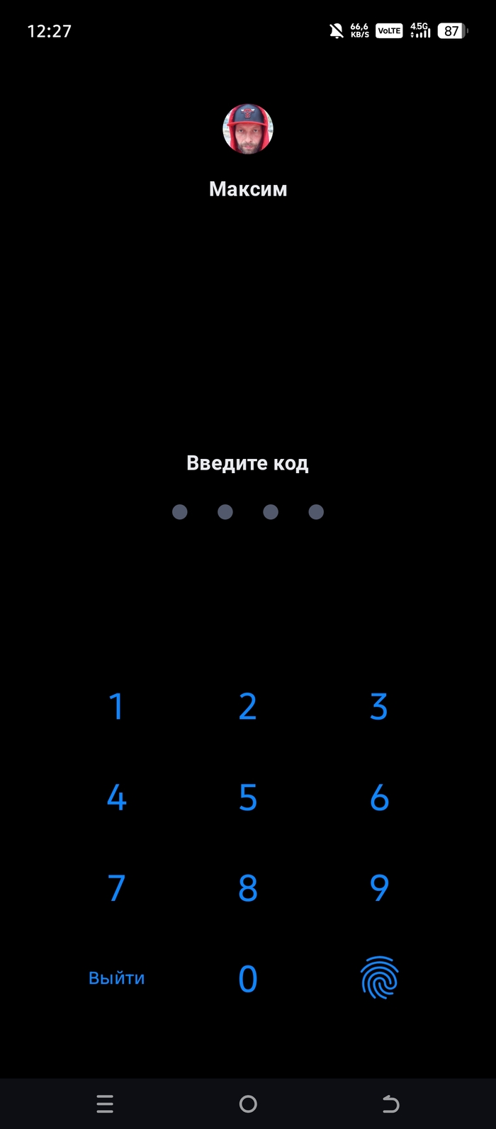 Госуслуги и Max