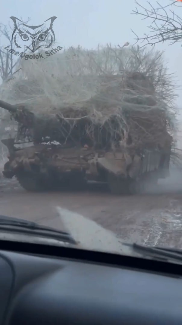 Ёж в тумане