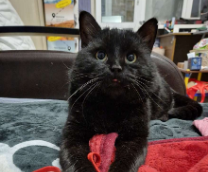 ����� � ������ ����! ������ ������