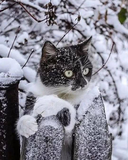 Доброго воскресного утра!